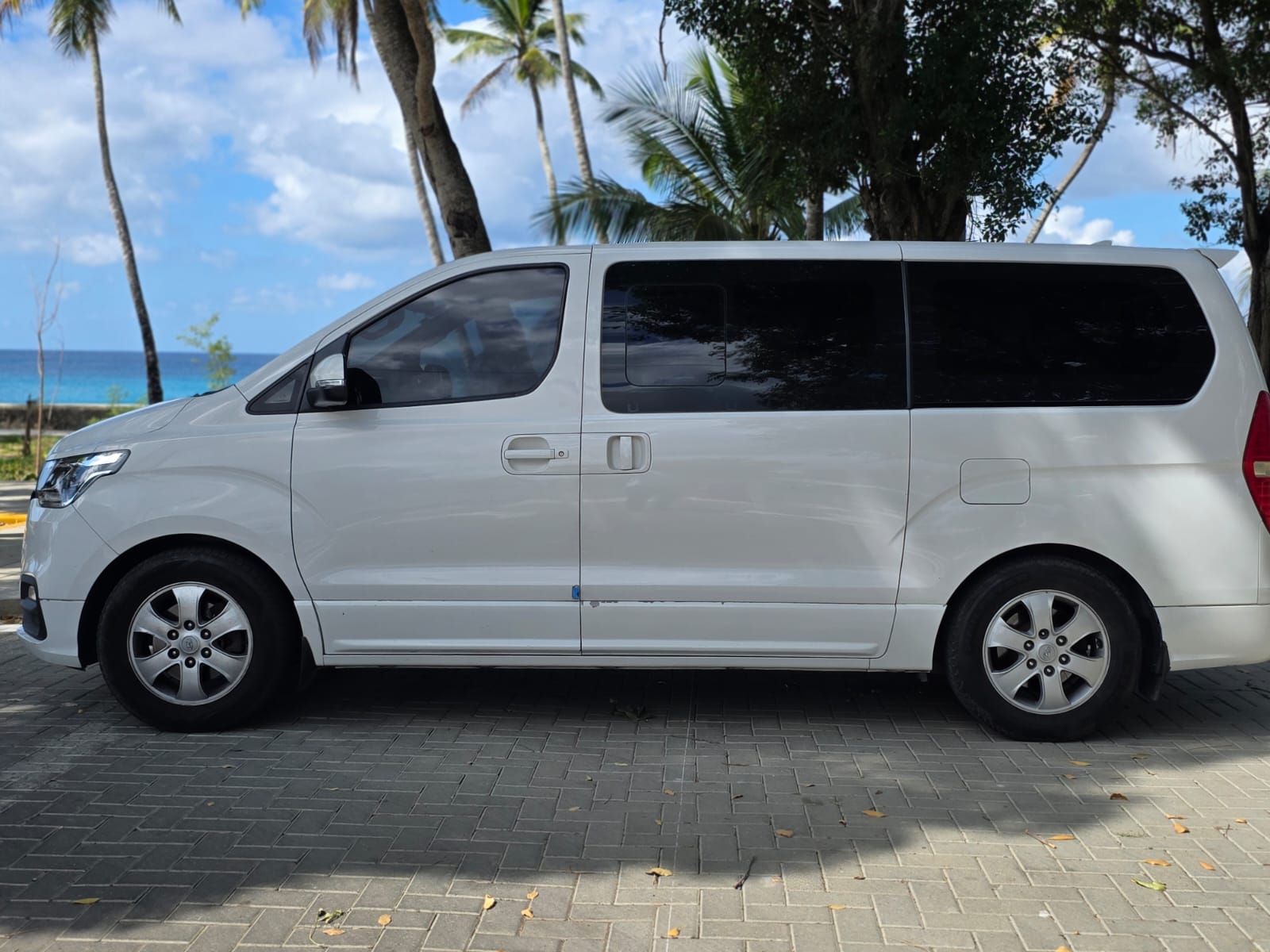 Van premium de eTOURS frente al mar